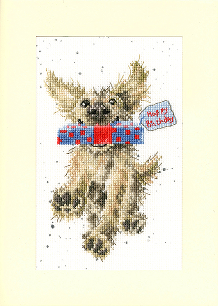Greeting Card – Special Delivery
